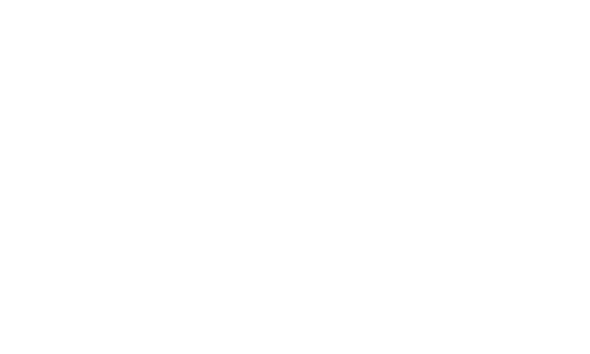 Logo Lizenzierter Markenpartner des Fürstentums Liechtenstein